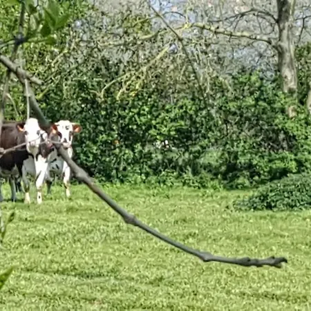 La Bocagere D' Henri
