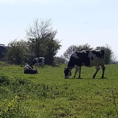 בית נופש La Bocagere D' Henri Saint-Come-du-Mont