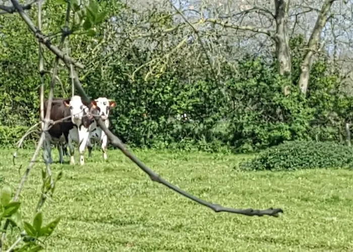 La Bocagere D' Henri