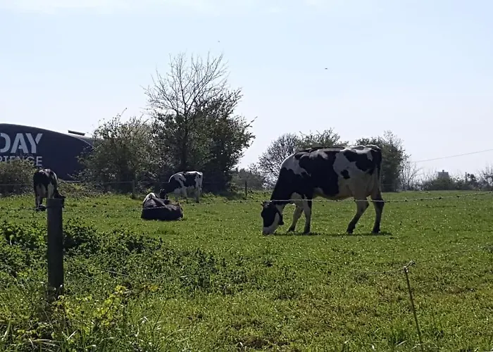 Holiday home La Bocagere D' Henri Saint-Come-du-Mont